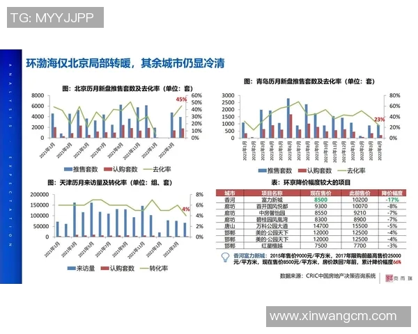 深入探讨上海排球队实力表现与数据分析的全面解读与未来展望