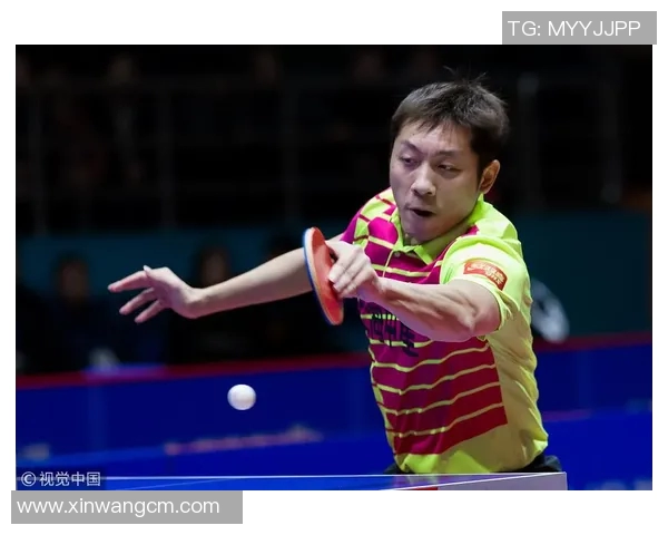 深圳网球队以90分稳居锦标赛积分榜首位展现强劲实力 深圳网球队以90分稳居锦标赛积分榜首位展现强劲实力