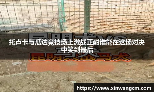 金年会